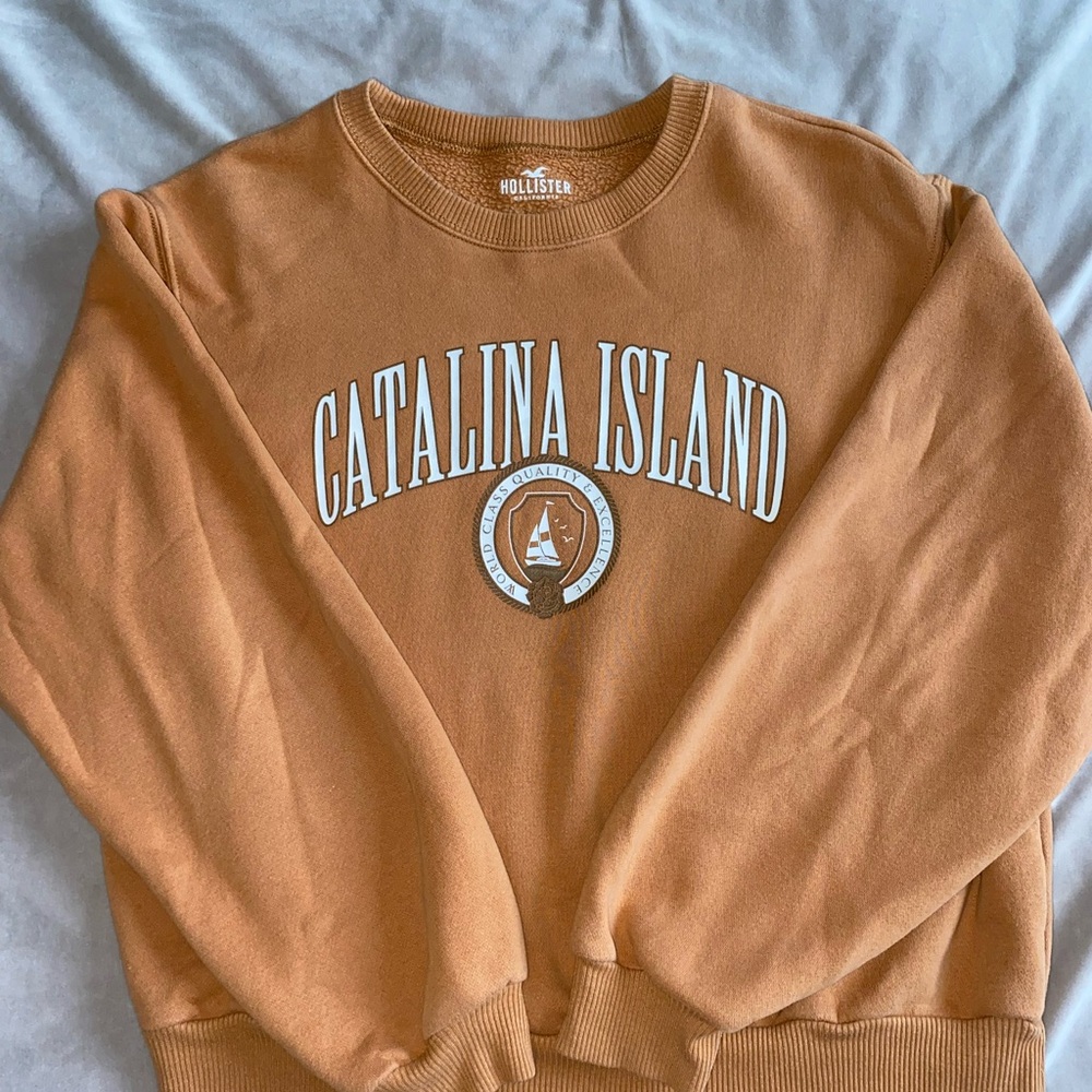 Hollister Catalina Island Crewneck Sweatshirt - Burnt Orange